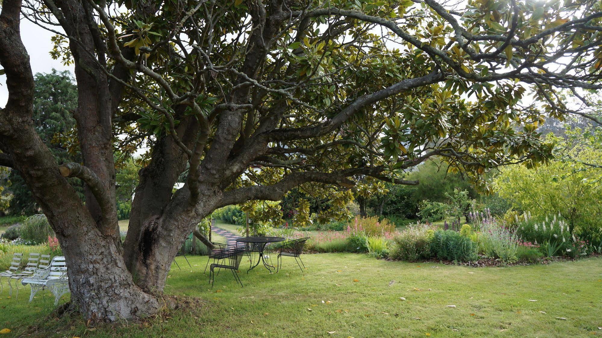 Roslyn House Bed & Breakfast Bushy Park Exterior foto