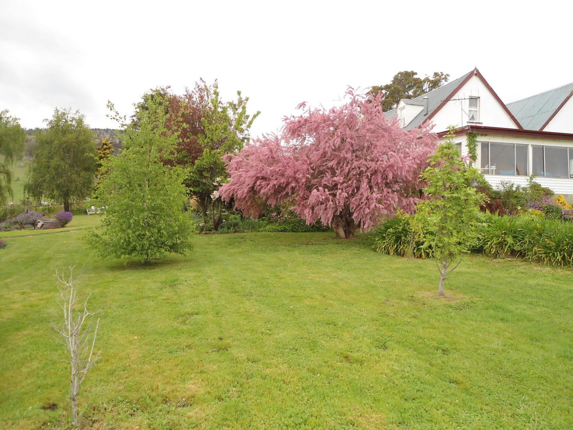 Roslyn House Bed & Breakfast Bushy Park Exterior foto