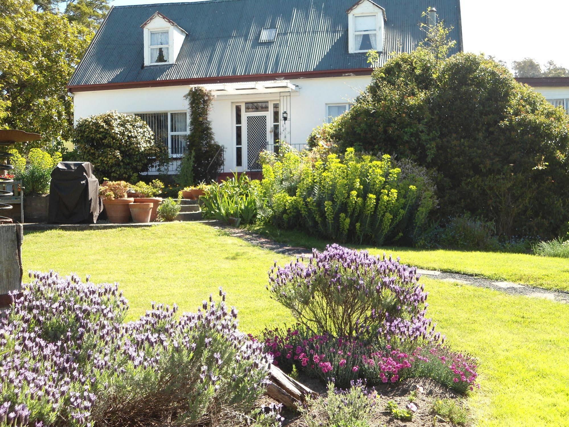 Roslyn House Bed & Breakfast Bushy Park Exterior foto